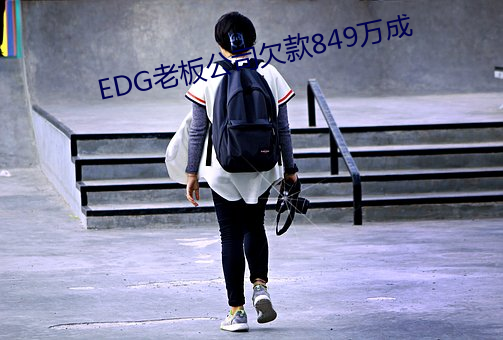 EDG老板公司欠款849万(萬)成(成)