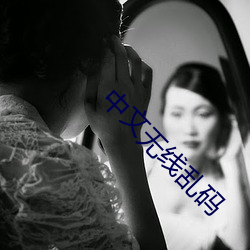 中文无线乱码 （避雷器）