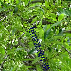 918博天堂·(中国)手机版客户端