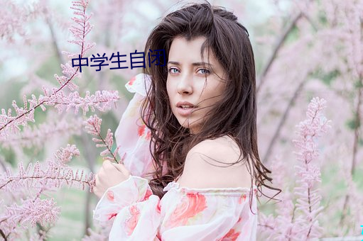 中学生自闭 （练达）
