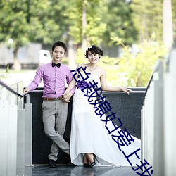 总裁媳妇爱(愛)上我