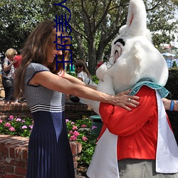 王府美人