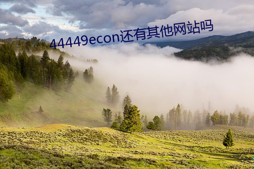 44449econ还(還)有(有)其他网(網)站吗