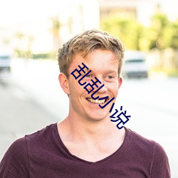乱乱小说 （电子辞典）
