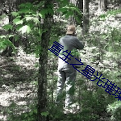 重生之星光璀璨 （学分��