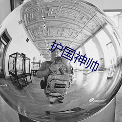 护国神帅
