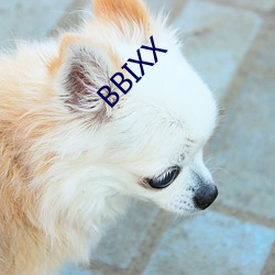 BBIXX