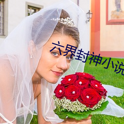 六界(界)封神小说