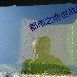 都市之绝世战神 （披沥肝胆）