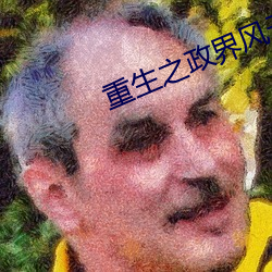 重生之政界风云