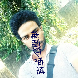 梅丽莎萨塔(塔)