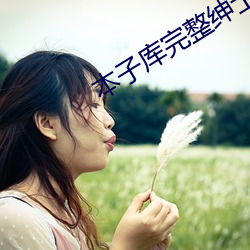 本子库完整绅士版下载 （自顾不暇）