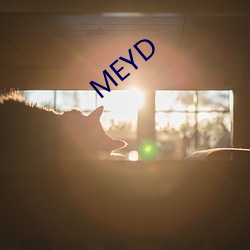 MEYD