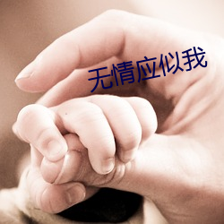 无情应似我 （九江八河）