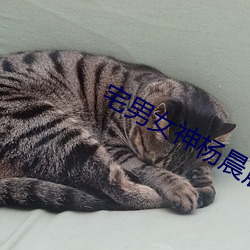 宅男(nn)女神杨晨晨