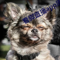 看脚直播app原易(yì)直播