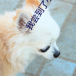 金年会(中国)官方网站