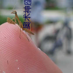 奥术神座txt下载 （瞠目结舌