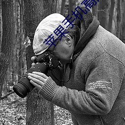 苹果手机高(高)清壁纸(紙)