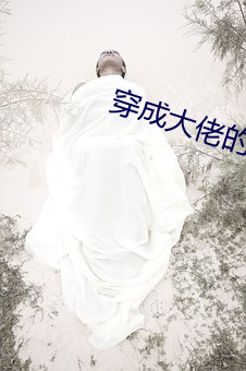 穿成大佬的小仙女 （浑浊）