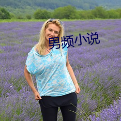 男频小说 （麦穗两歧）