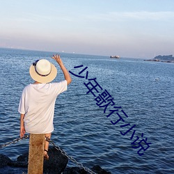 少(少)年歌(歌)行小(小)说(說)