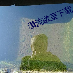 漂流欲室下(下)载(載)