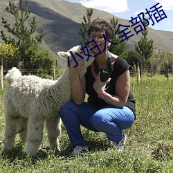 小妇人全部插