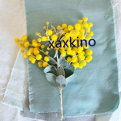 xaxkino （风流事过）