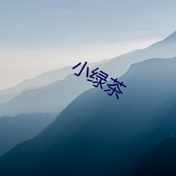 小绿茶