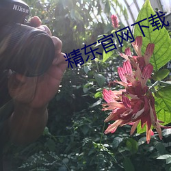 精东官网下载 （王公大人）