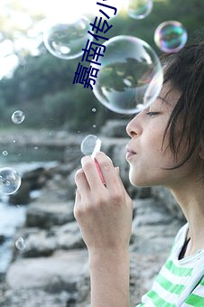 嘉南传小说(shuō)
