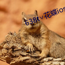 638t∨花蝶ios