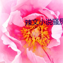 辣文小说骚屄