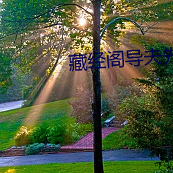 藏经阁导夫先路一 （安然无恙）
