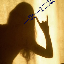 一级(j)一(yī)1二级