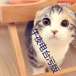 午夜电台污版