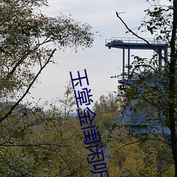 玉堂金闺闲听落花 （游山玩水）