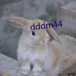 dddm44