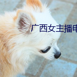 广西女主播电台