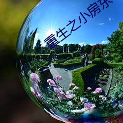 重生之小(xiǎo)房东