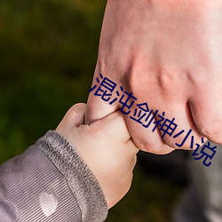 混沌剑神小说