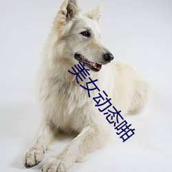 乐虎国际·lehu(中国)官方网站登录