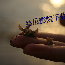 丝瓜影(影)院(院)下载