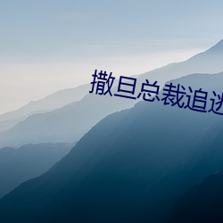 撒(sā)旦总裁追逃(táo)妻