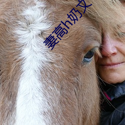 妻高h奶文