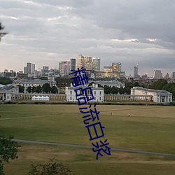 精品流白浆