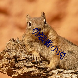 僞裝者小說