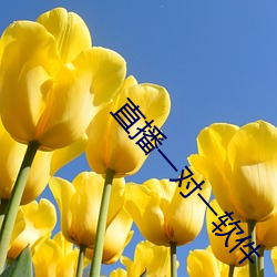 直播一对一软件