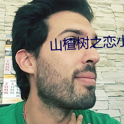 山楂树之恋小说